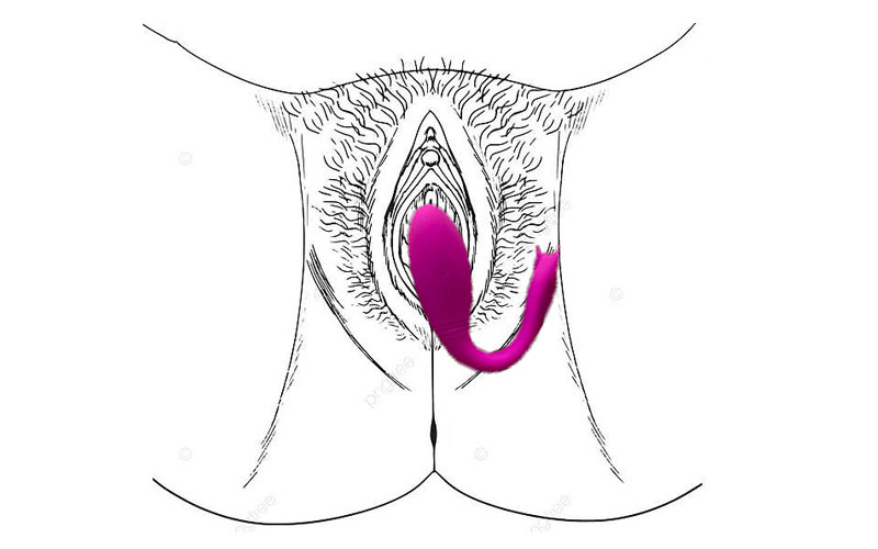 Sextoy Trứng Rung Cá Heo Prettylove Điều Khiển Qua App